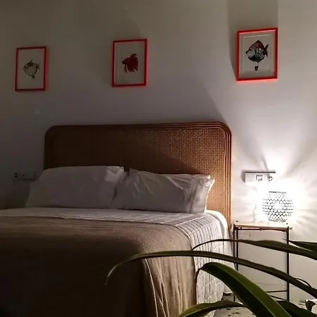 Bruno Julio Y Agosto Min 7n * Cangas