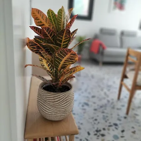 Casa Dos Minos Bruno Appartement Cangas do Morrazo