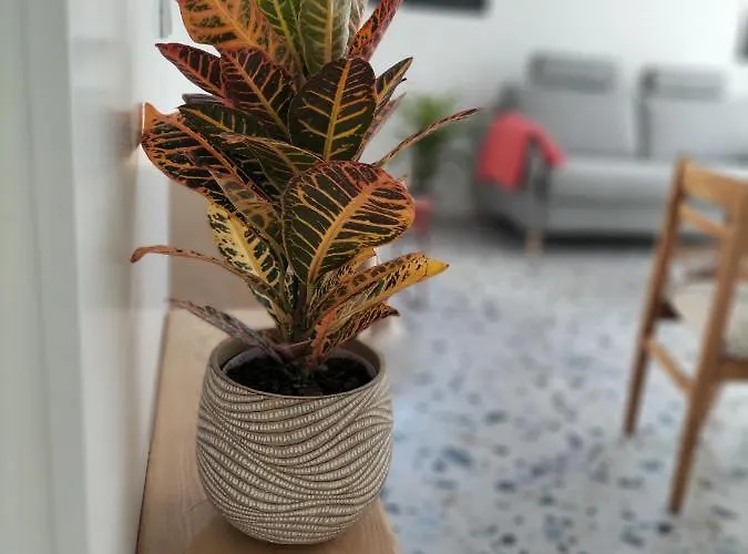 Casa Dos Minos Bruno Daire Cangas do Morrazo