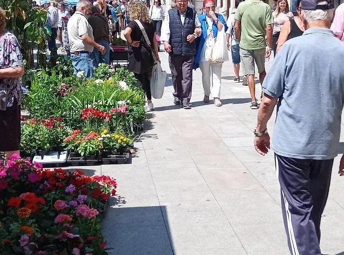 Daire Casa Dos Minos Bruno *